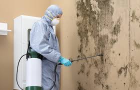 Best Water Damage & Mold Remediation  in Alamae, NC